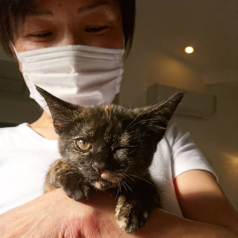 ＊猫はサロンスペースには立ち入りません